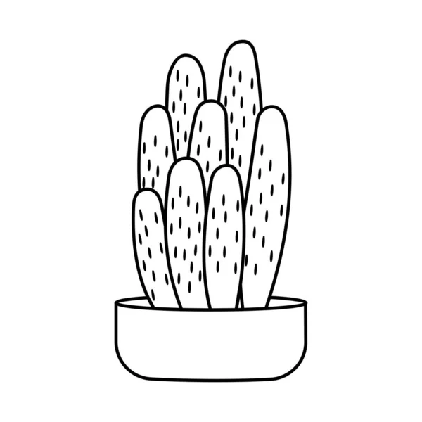 Cactus and succulent line style vector illustration — 스톡 벡터