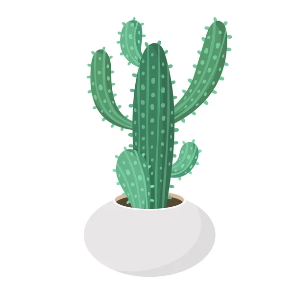 Cactus et succulent en pot illustration vectorielle de dessin animé coloré domestique — Image vectorielle