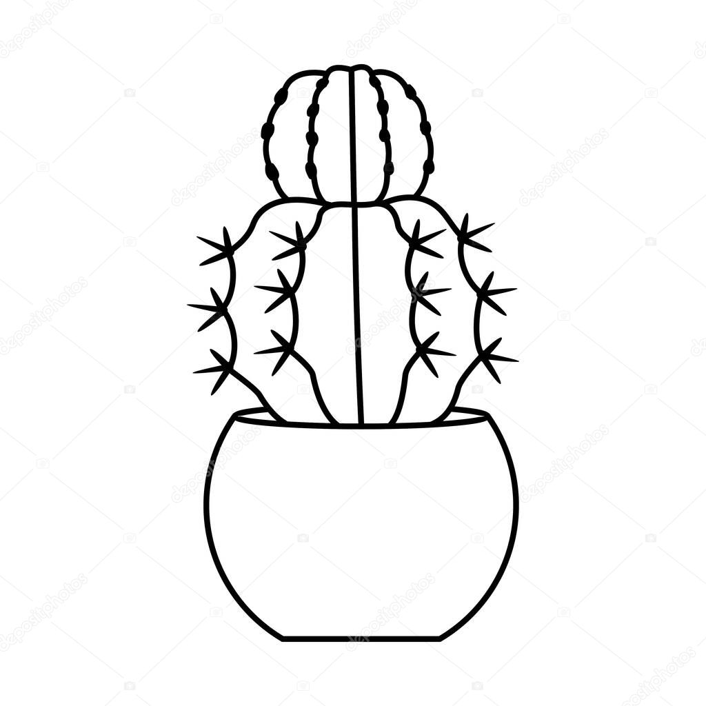Cactus and succulent line style vector illustration