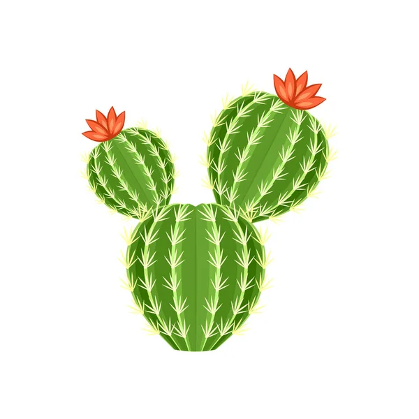 Illustration vectorielle de cactus coloré et de plantes succulentes — Image vectorielle