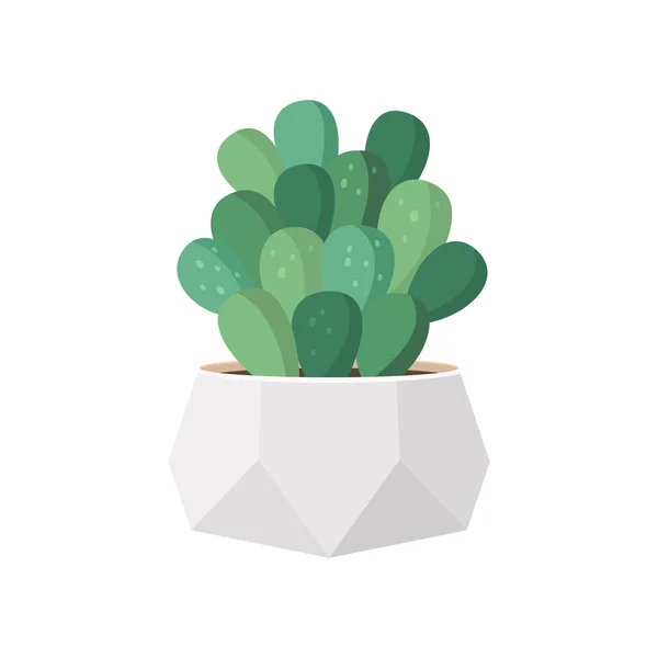 Cactus en sappig in pot binnenlandse kleurrijke cartoon vector illustratie — Stockvector