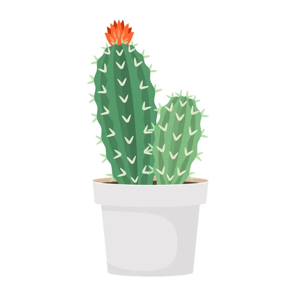 Cactus and succulent in pot domestic colorful cartoon vector illustration — Stock Vector