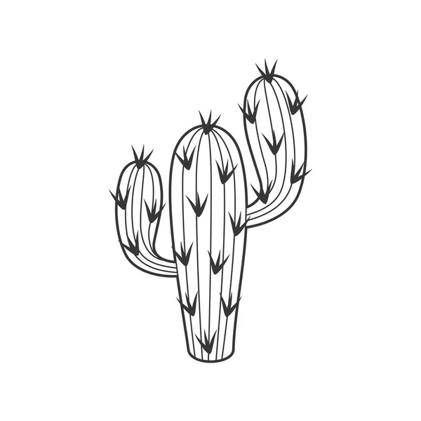 Outline cactus and succulent plant vector illustration — Stock Vector