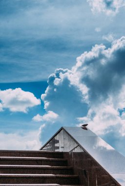 gökyüzüne merdivenüzerinde oturan kuş