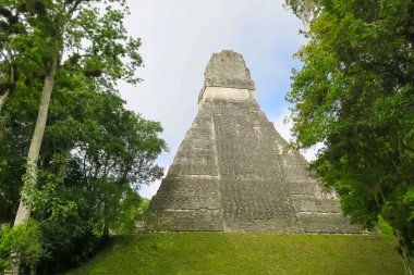 The greatest and most famous pyramid of the Mayan empire in Tikal, Guatemala