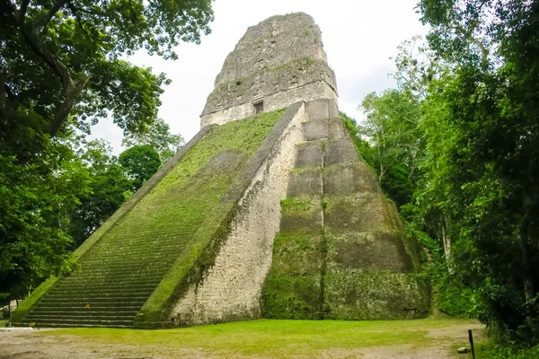 A antiga pirâmide da civilização maia em Tikal, Guatemala — Fotografia de Stock