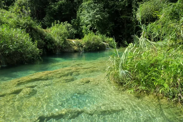 Natuurreservaat in Guatemala Semuc Champey, een van de natuurlijke wonderen — Stockfoto