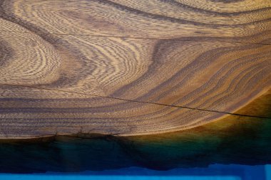 Ağaç yapısının resmi