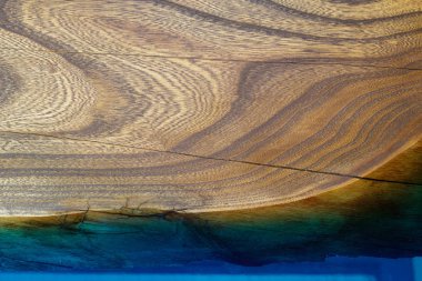 Ağaç yapısının resmi