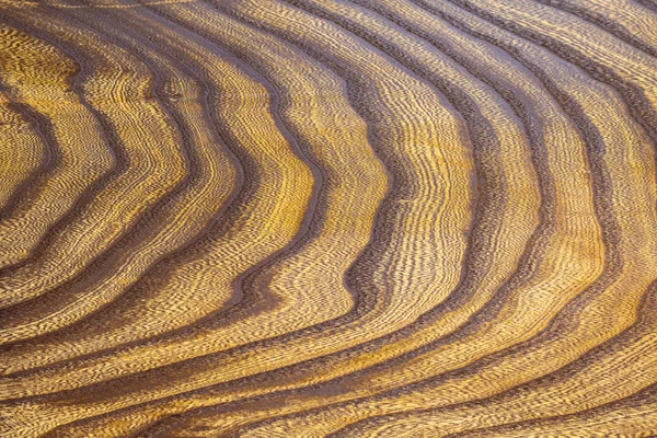 Ağaç yapısının resmi