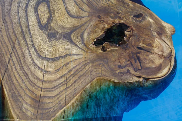 Ağaç yapısının resmi