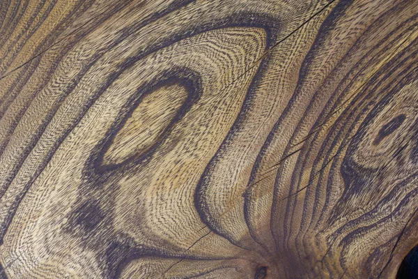 Ağaç yapısının resmi