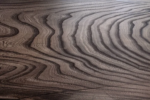 Gövdenin boylam kısmındaki ağaç yapısının resmi