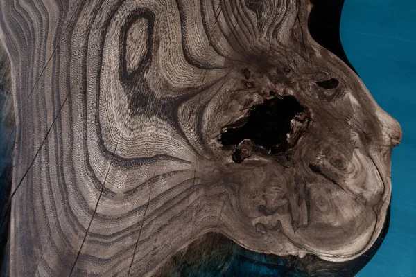 Gövdenin boylam kısmındaki ağaç yapısının resmi