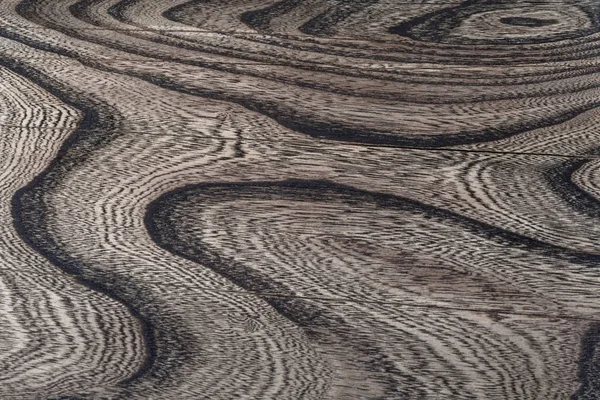 Gövdenin boylam kısmındaki ağaç yapısının resmi