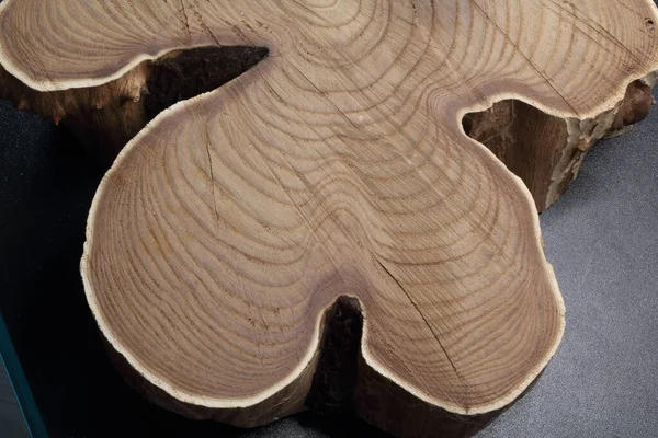 Doğanın yarattığı güzel ahşap dokusunu gösteren gövde parçaları.