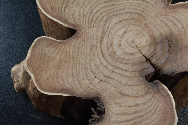 Doğanın yarattığı güzel ahşap dokusunu gösteren gövde parçaları.