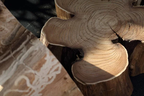 Doğanın yarattığı güzel ahşap dokusunu gösteren gövde parçaları.