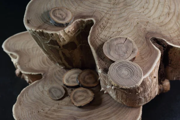 Doğanın yarattığı güzel ahşap dokusunu gösteren gövde parçaları.