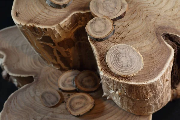 Doğanın yarattığı güzel ahşap dokusunu gösteren gövde parçaları.