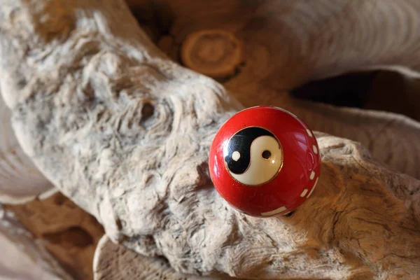 Doğanın yarattığı güzel ahşap dokusunu gösteren gövde parçaları.