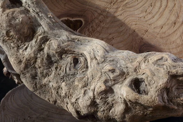 Doğanın yarattığı güzel ahşap dokusunu gösteren gövde parçaları.