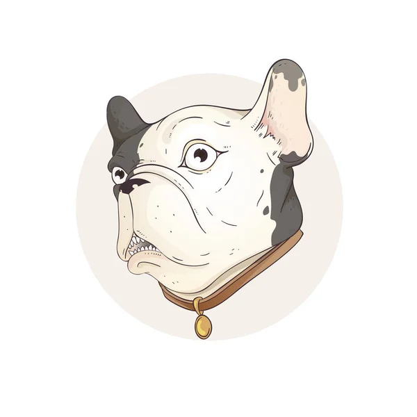 Franse bulldog hoofd geïsoleerd op witte achtergrond. Vectorillustratie — Stockvector
