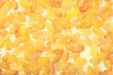 Plaser hafif Sarı zemin üzerine kuru üzüm. Büyük kuru üzüm.