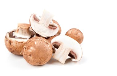 Champignon. Tüm gurup ve beyaz bir arka plan üzerinde bir kraliyet mantar champignon keser.