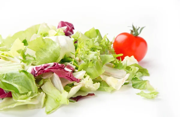 Mistura Salada Folhas Verdes Frescas Friso Radicchio Endívia Tomate Menu — Fotografia de Stock