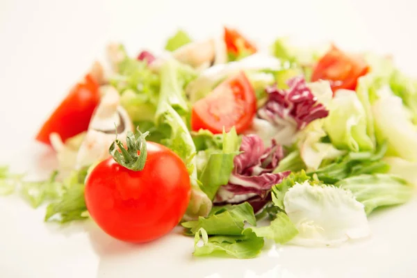 Mistura Salada Folhas Verdes Frescas Friso Radicchio Endívia Tomate Menu — Fotografia de Stock