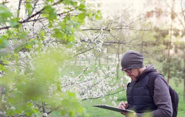 Adam ekolojist ağaçlar çiçeklenme sırasında araştırmalar yapar. Ziraat Mühendisi - damızlık bahçede.