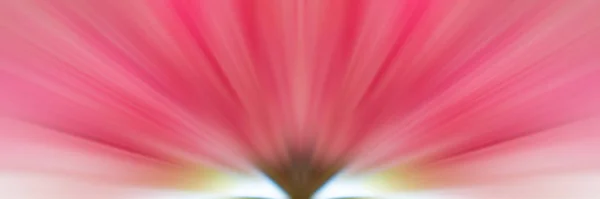 Illustratie Van Een Grote Roze Bloem Abstracte Achtergrond — Stockfoto