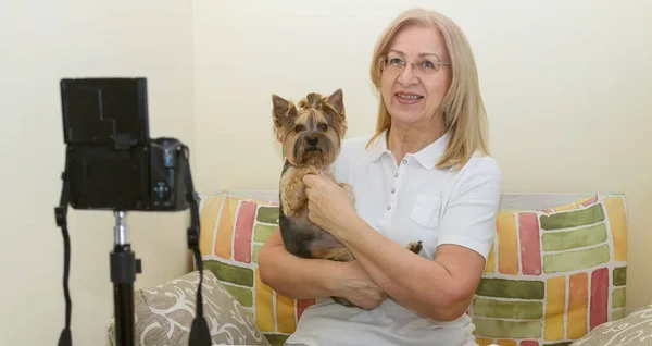 Video blogger, mature woman with a dog york terrier record video on camera.