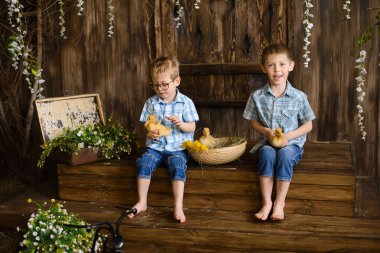 İki küçük kardeş verandanın ahşap basamaklarında, hasır sepetin yanında, ördek yavruları ve karahindibalarla oturuyorlar..