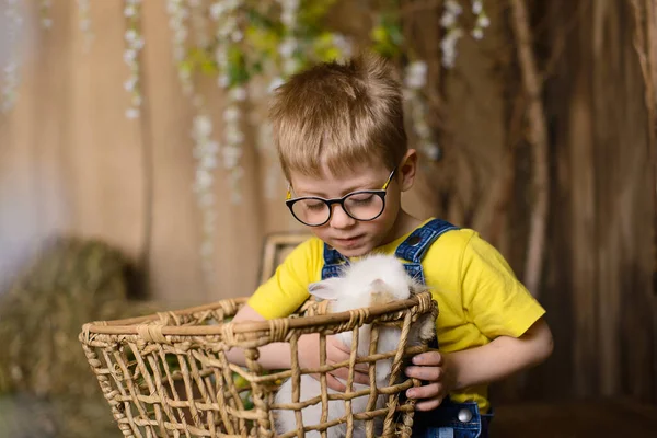 Kleine Jongen Bril Geel Shirt Houdt Mand Met Wit Konijn — Stockfoto