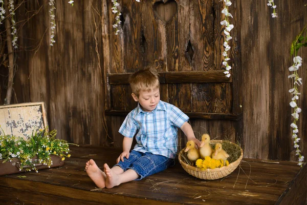 Little Boy Shirt Jeans Zit Houten Veranda Raakt Gele Eendjes — Stockfoto
