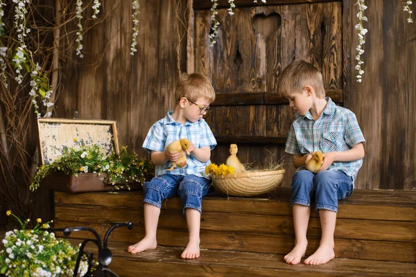 Twee Broertjes Zitten Houten Treden Van Veranda Naast Rieten Mand — Stockfoto