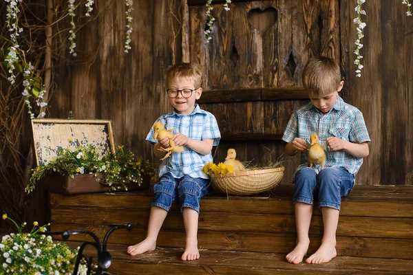 Twee Broertjes Zitten Houten Treden Van Veranda Naast Rieten Mand — Stockfoto