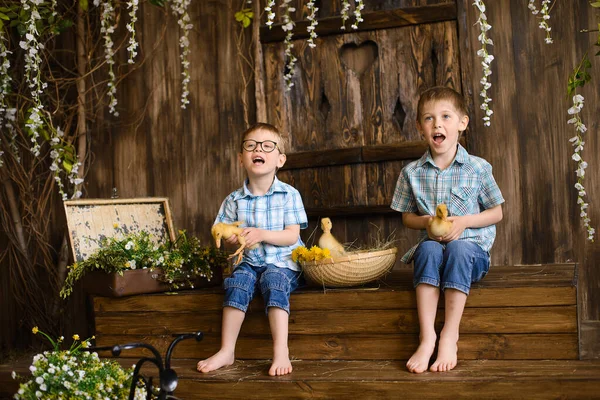 Twee Broertjes Zitten Houten Treden Van Veranda Naast Rieten Mand — Stockfoto