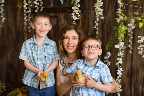 Madre Joven Con Dos Hijos Riendo Manteniendo Patitos Amarillos Sobre —  Fotos de Stock