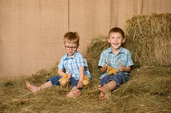 Twee Jongens Blauwe Geruite Shirts Jeans Spelen Met Pasgeboren Gele — Stockfoto