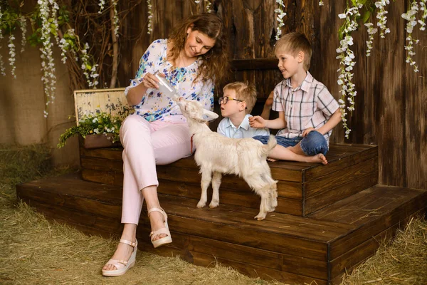 Maman Avec Deux Fils Assis Sur Porche Bois Arrosage Chèvre — Photo