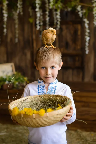 Huhn Sitzt Auf Dem Kopf Eines Jungen Ukrainischen Bestickten Hemd — Stockfoto