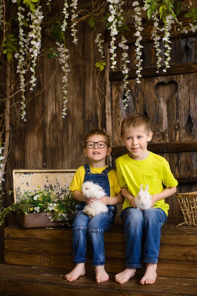 Twee Broers Zitten Houten Veranda Spelen Met Witte Konijnen — Stockfoto