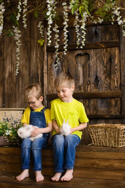 Twee Broers Zitten Houten Veranda Spelen Met Witte Konijnen — Stockfoto