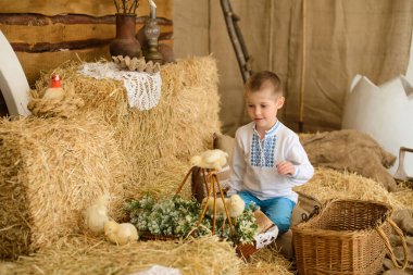 Ukrayna nakışlı tişörtlü güzel çocuk saman yığınına oturur, tavuklarla oynar.