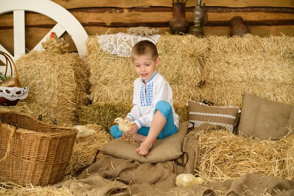 Krásný Chlapec Ukrajinské Vyšívané Košili Sedí Hromadě Sena Hraje Kuřaty — Stock fotografie