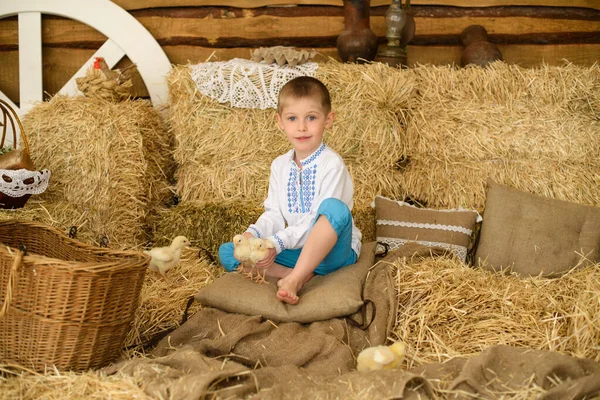 Schöner Junge Ukrainischen Bestickten Hemd Sitzt Auf Heuhaufen Spielt Mit — Stockfoto