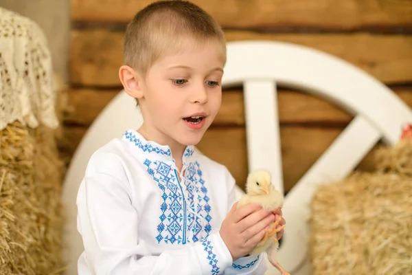 Portret Van Een Jongen Met Blond Haar Een Oekraïens Geborduurd — Stockfoto